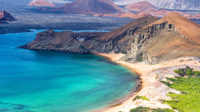 1_koala_tvnoviny.mp4