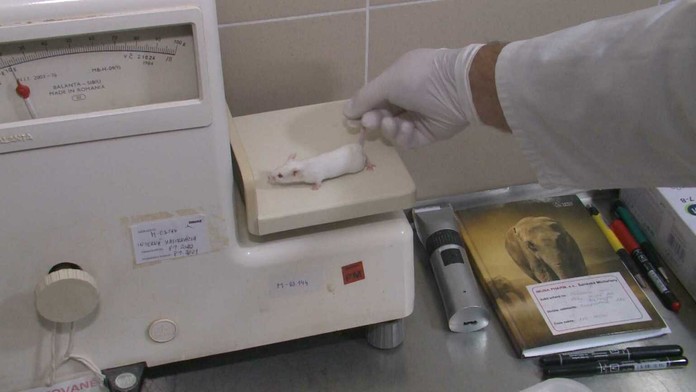 Diera, ktorá sa po zemetrasení vytvorila v obci Mečenčani.