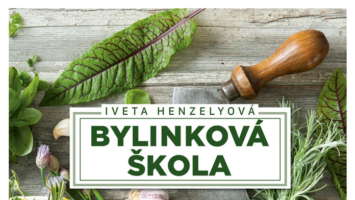 Obálka knihy.
