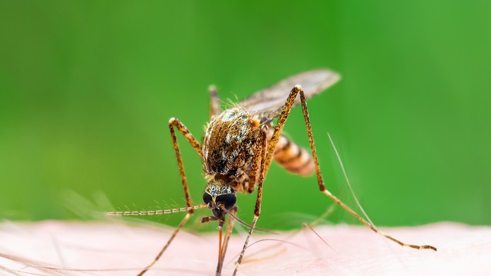 Rodina s nevidiacim chlapcom, ktorých odmietli obslúžiť v motoreste