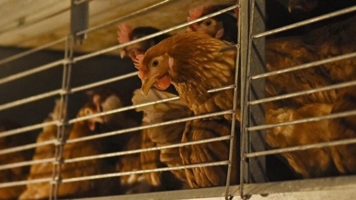 Biatlonista Johannes Thingnes Boe oslavuje triumf vo vytrvalostných pretekoch v Pokljuke.