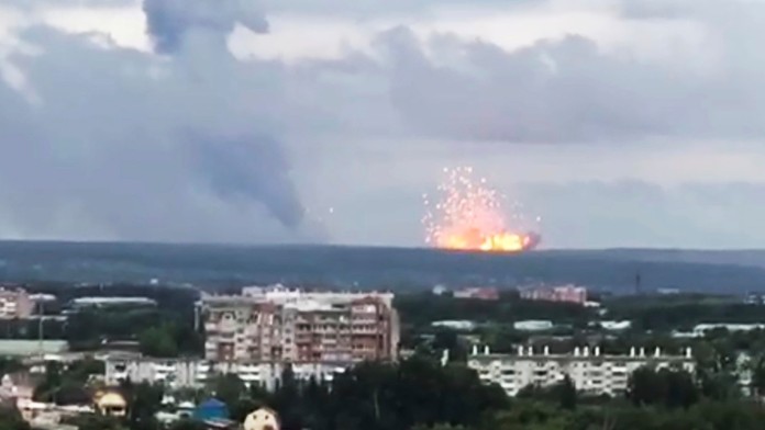 Samica strehúňa južného - Hogna radiata.
