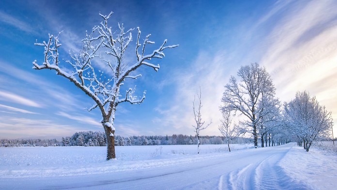 Ilustračná snímka