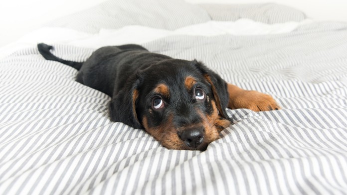 Ilustračná snímka.