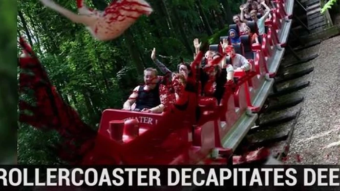 deer.JPG