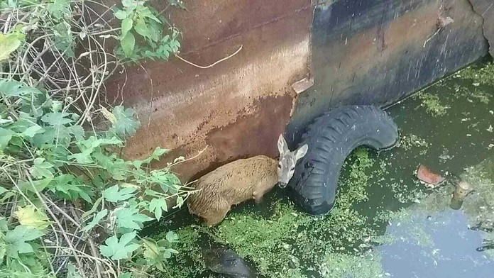 Hviezdy zo Sily ženy na spoločnom obede