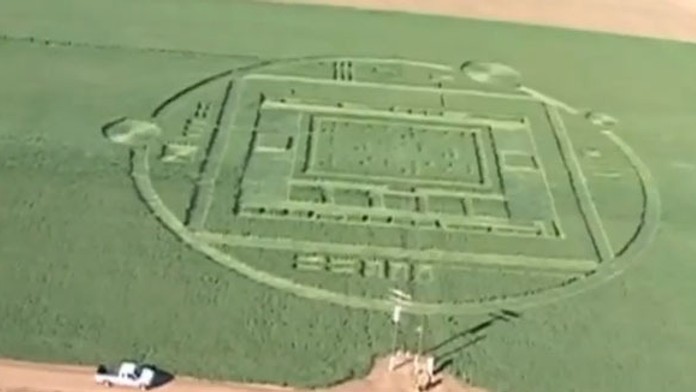 V jačmeni sa objavil záhadný obrazec