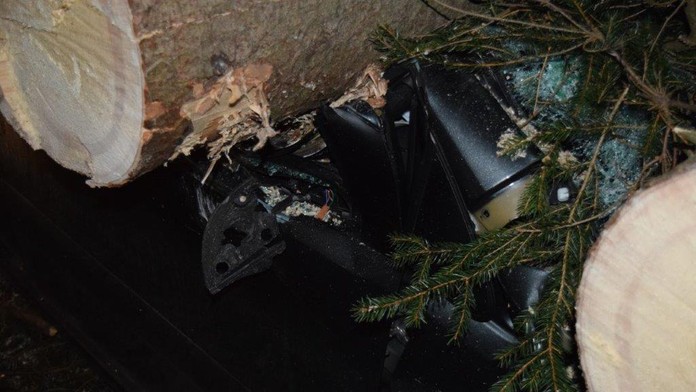 Na auto spadli dva stromy