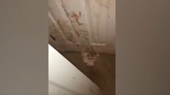 Krv bola všade. 