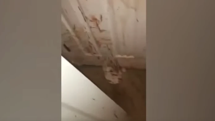 Krv bola všade. 
