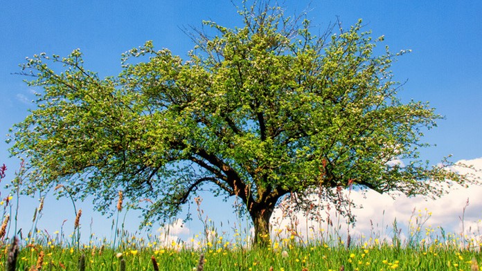 Zo zápasu Slovan - Michalovce.