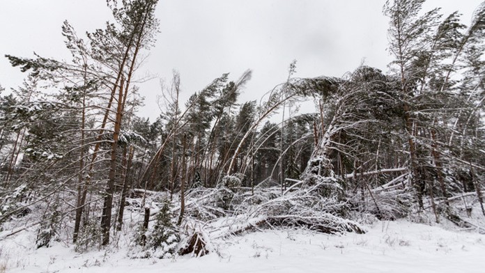 Výstraha kvôli silnému vetru platí aj na utorok.