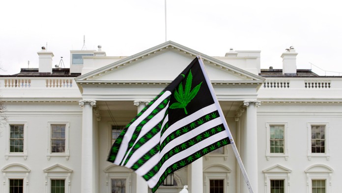 Zástava s marihuanou pred Bielym domom počas protestu.