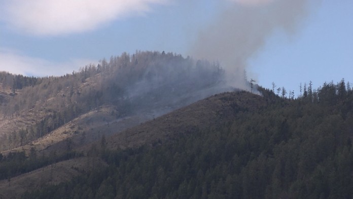 Pri Kravanoch horí les.