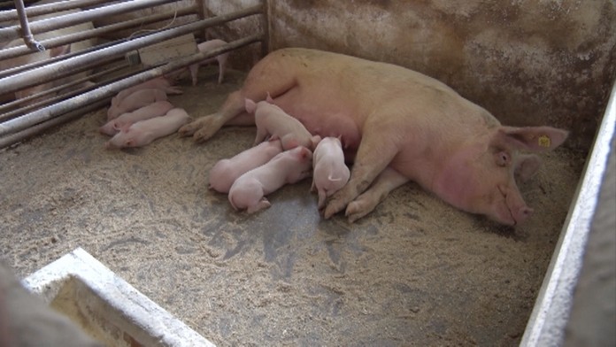 Ilustračná snímka.