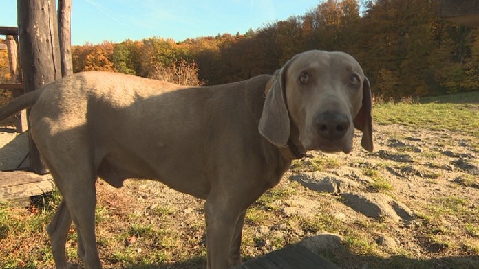 Ilustračná snímka.