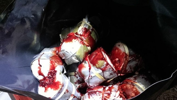 Ilustračná snímka- Honda