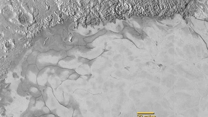 11011482_10153420885706772_6080814582292271865_n.jpg