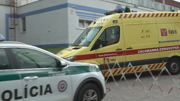 Záprahové psy v Grónsku
