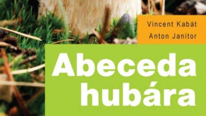 Huby.jpg