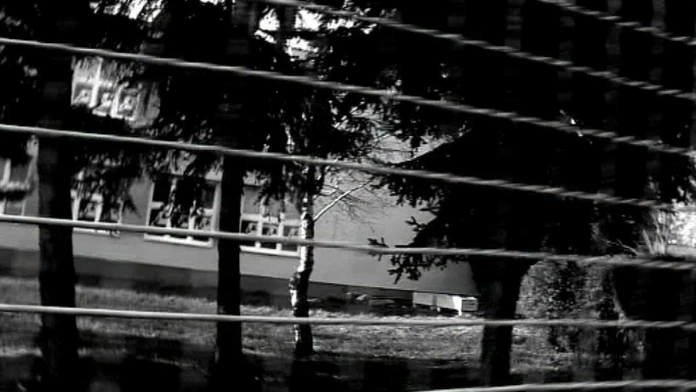 Škola