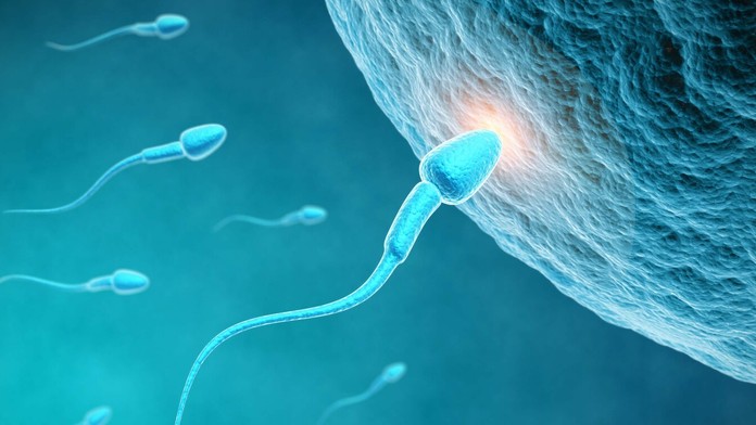 Ilustračná snímka