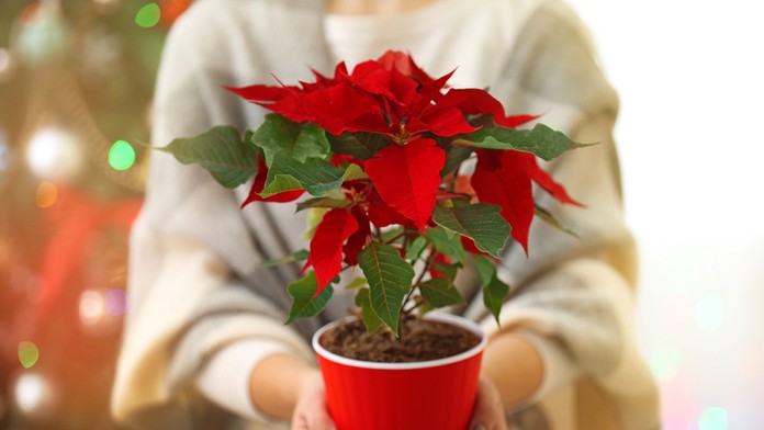 Ilustračná snímka