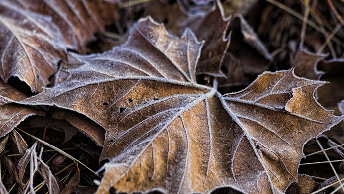 Ilustračná snímka