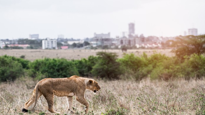 Ilustračná snímka