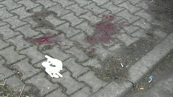 drevorubacweb_jpg_bez_watermarku_1.jpg