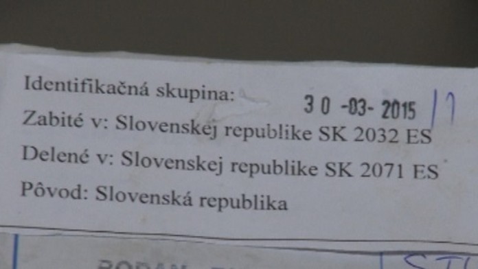 hydinaweb_jpg_bez_watermarku_1.jpg