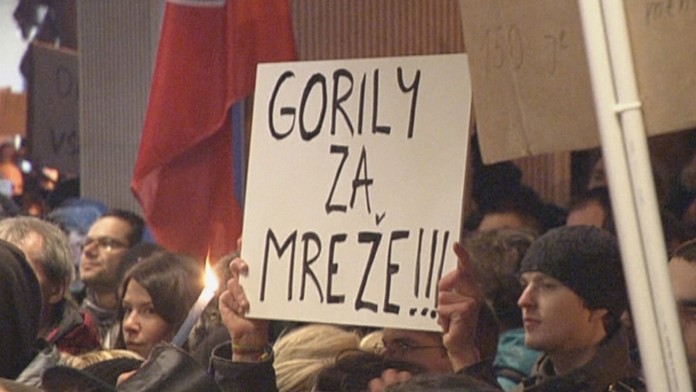 Protest proti Gorile.