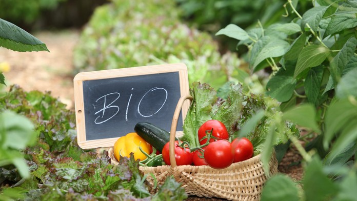 bio zelenina