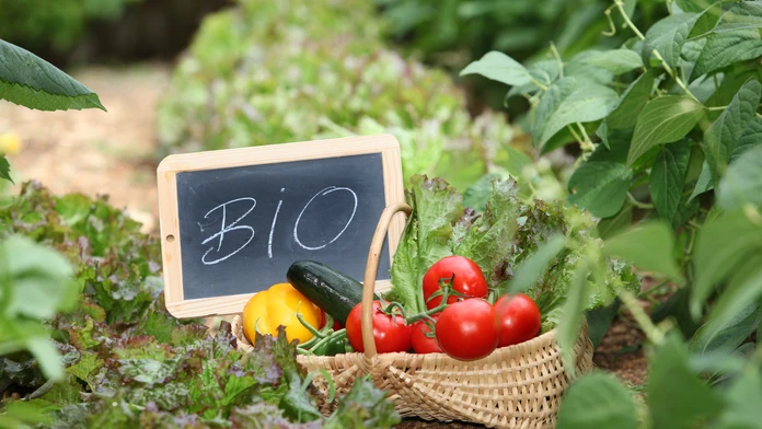 bio zelenina