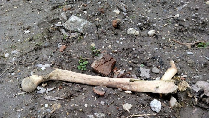 Ilustračná snímka