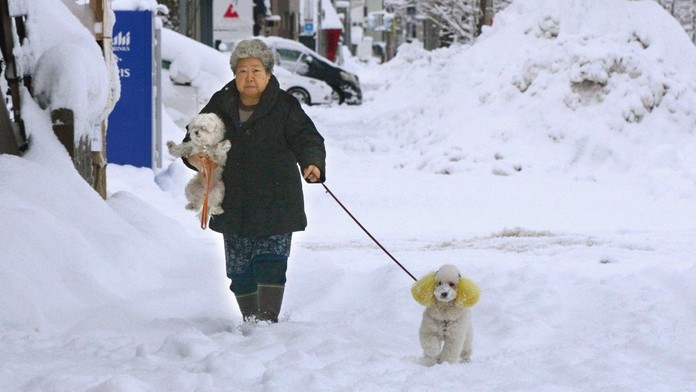 Farba roka 2018 bude Ultra Violet.