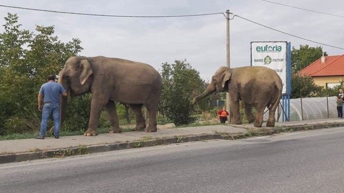 extremne TR_markiza_sk_bez_loga.mp4