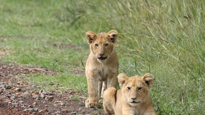 Dolores O’Riordan so skupinou The Cranberries v Paríži