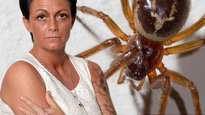 Andreu pokúsal na záhrade pavúk, museli jej amputovať prst