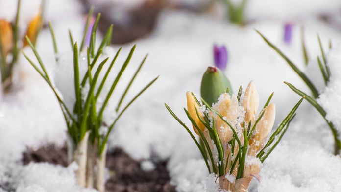 Ilustračná snímka.