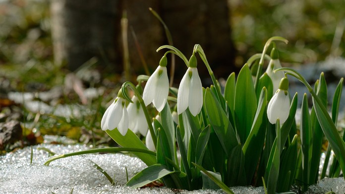 Ilustračná snímka