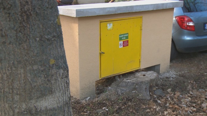 Korene stromu sa zamotali do vedenia plynu v Leviciach