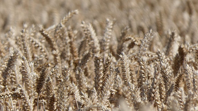 Ilustračná snímka.