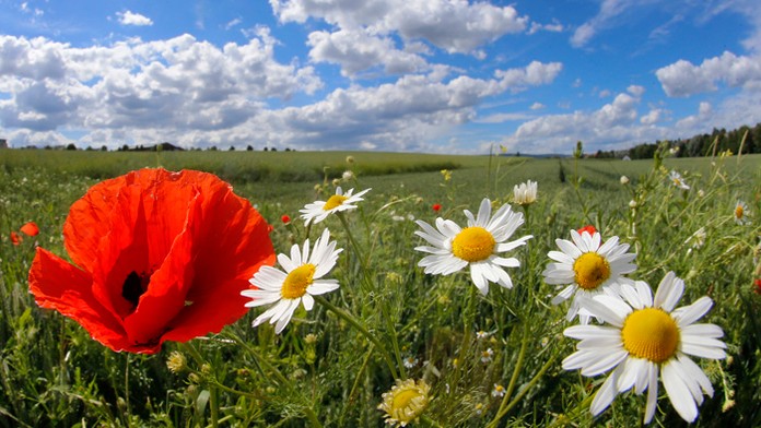 Ilustračná snímka.