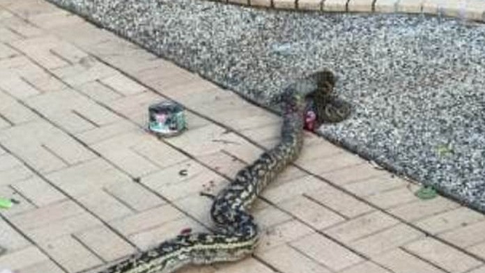 Andruskóa priviezli za prísnych bezpečnostných opatrení na súd v Pezinku.