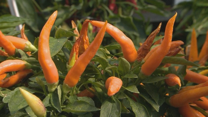 Ilustračná snímka.