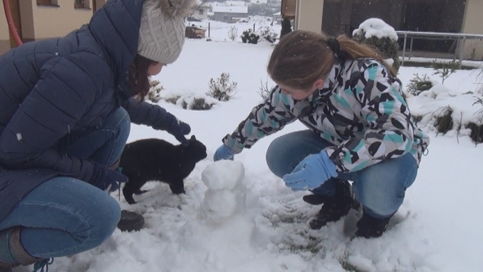 19 PB Sneh.transferweb_jpg_bez_watermarku_1.jpg