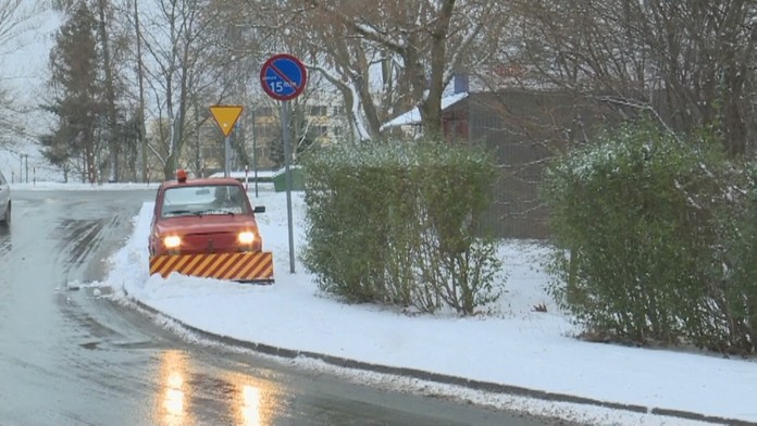 Strážne prasiatko.