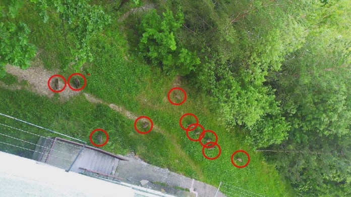 V Považskej Bystrici zahájili odstrel diviakov.