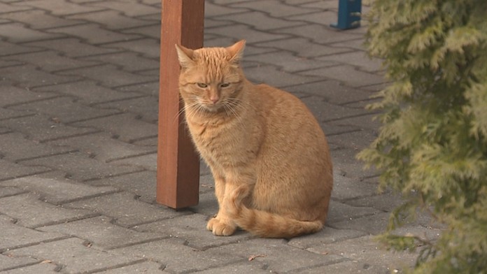 Ilustračná snímka.